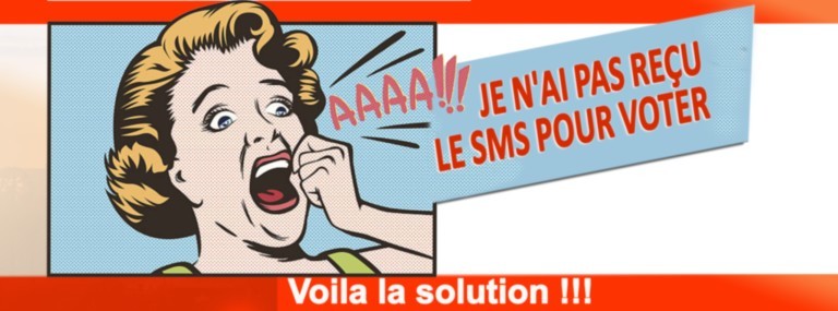 elections-cambodge-francais-francophonie-cendy-lacroix-ambassade-consulat-conseillers-francais-etranger-sms.jpeg